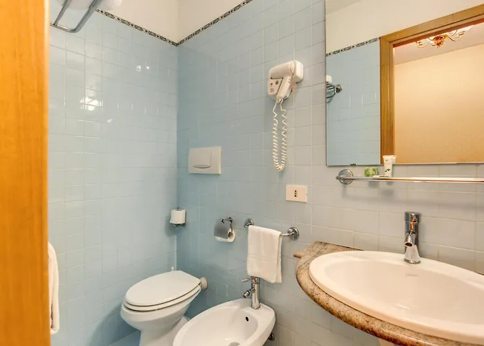 フラワー ガーデン ホテル 3*